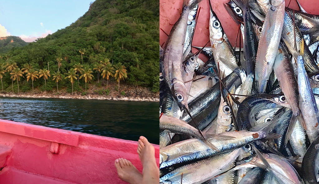 Collage of a fishing trip in St Lucia