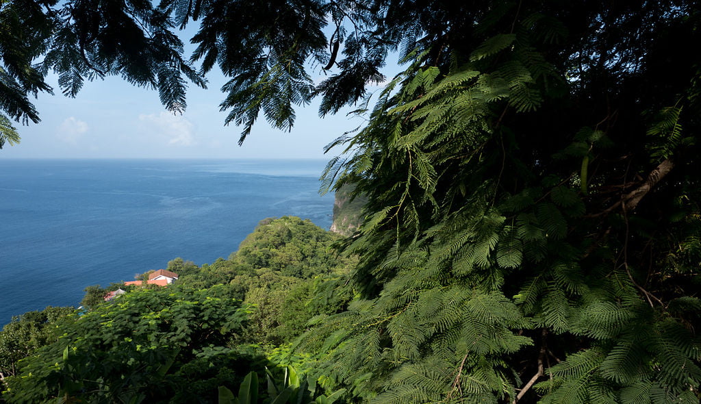 A view of the blue Caribbean Sea, looking through the green rainforest hillside from Cosmos St Lucia