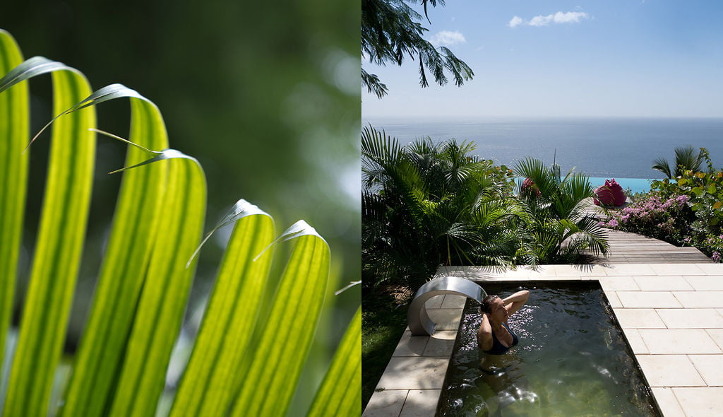 A woman in a bikini is half submerged in a small plunge pool in a garden that looks out on the caribbean sea