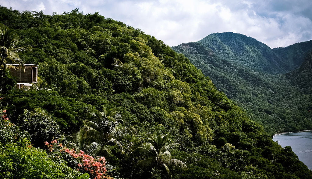 Cosmos St Lucia is pictured in lush vegetation, sitting high on a ridge above Anse Chastenet beach