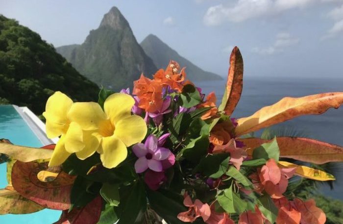Flowers-from-the-garden-at-Cosmos-St-Lucia-new