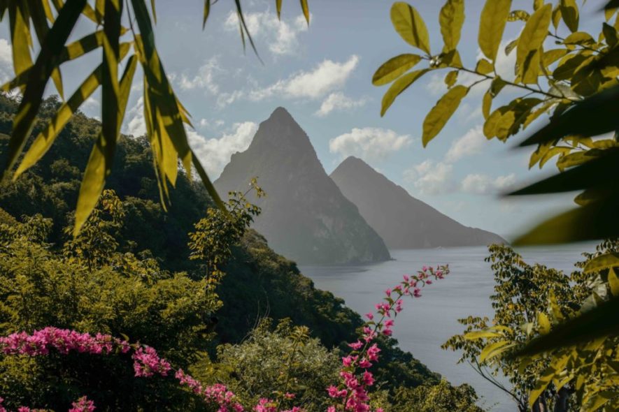 The Pitons World Heritage Site as seen from Cosmos St Lucia, showing the twin volvanic plus rising from the sea, with pink flowers and greenery framing the view