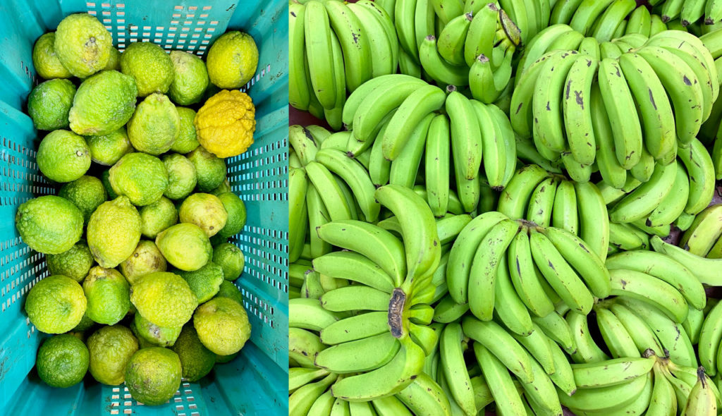a pile of green bananas is shown next to a turquoise basket holding lemons which are mostly green