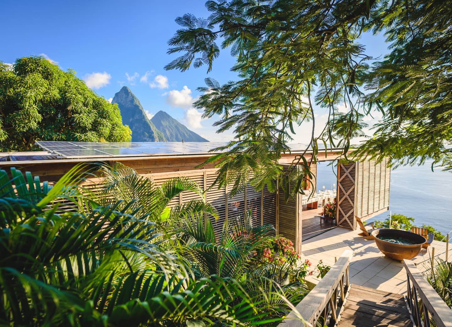 Photo-of-Cosmos-St-Lucia-shared-by-Belle-Portwe